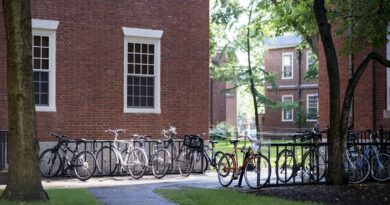 Parkerede cykler foran universitetsbygninger i røde mursten på en solskinsdag